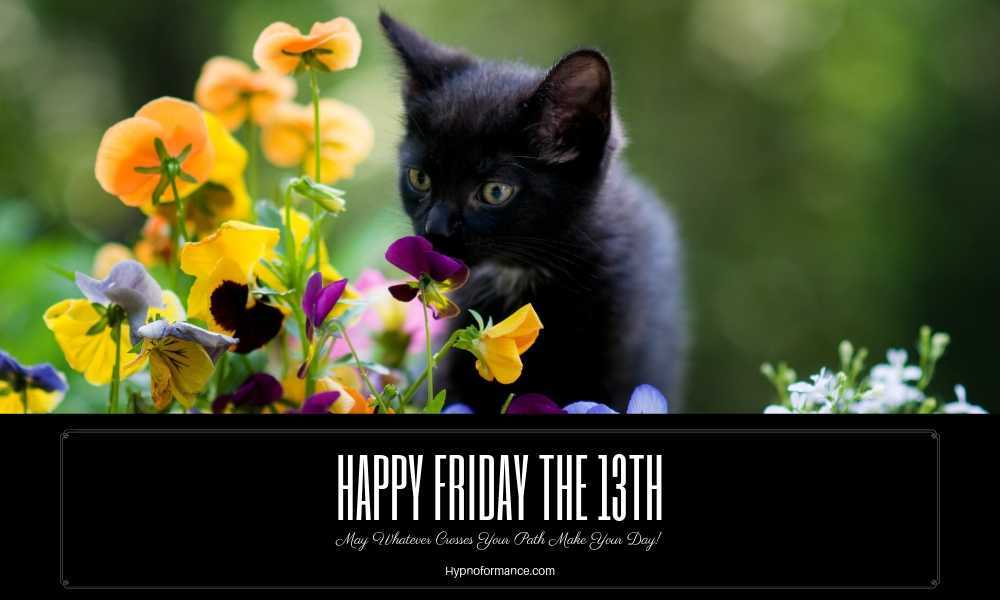 Friday 13th Black Cat